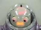 ifbot pic 1-2