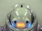 ifbot pic 2-1