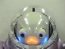 ifbot pic 2-2