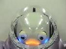 ifbot pic 2-3