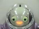 ifbot pic 2-4